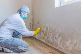 Why You Should Choose Our Mold Remediation Services in Tuscaloosa, AL