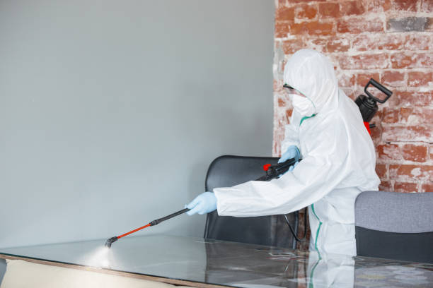 Dehumidification Services in Tuscaloosa, AL