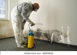 Mold Odor Removal Services in Tuscaloosa, AL